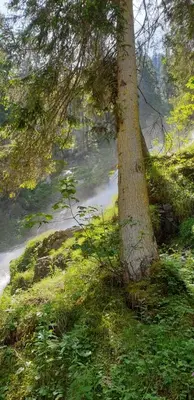 Naturlandschaft in der Nähe des Chalets
