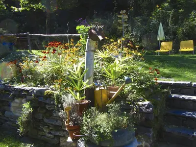 Ein Garten an der Unterkunft Baracca Backpacker