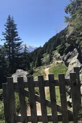 Naturlandschaft in der Nähe der Ferienwohnung