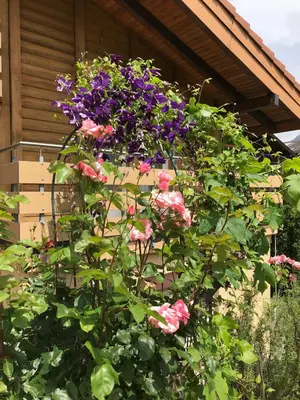 Ein Garten an der Unterkunft Apartment Beck