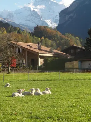 Naturlandschaft in der Nähe der Ferienwohnung