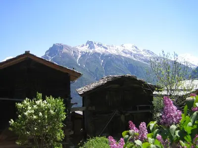 Naturlandschaft in der Nähe der Ferienwohnung