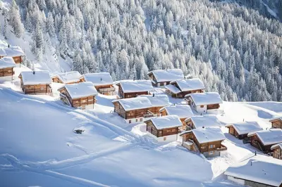 Ramona im Winter