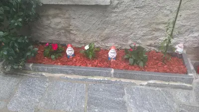 Ein Garten an der Unterkunft ca da la nona