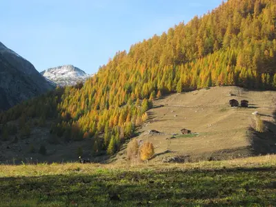 Naturlandschaft in der Nähe der Ferienwohnung