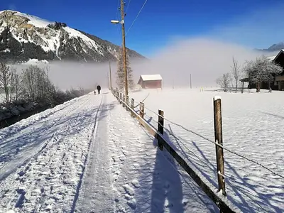 Luna Elk Home im Winter