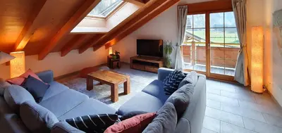TV/Unterhaltungsangebot in der Unterkunft Apartment Honegg
