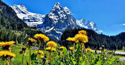 Naturlandschaft in der Nähe der Ferienwohnung