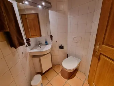 Ein Badezimmer in der Unterkunft MOM - Alpine Boutique Apartments, Chalet Fagus, Terrace Studio