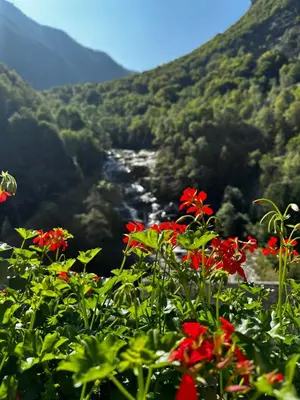 Naturlandschaft in der Nähe des Hotels