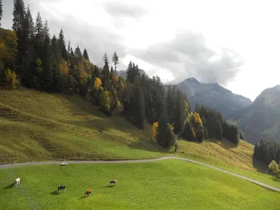 Naturlandschaft in der Nähe der Ferienwohnung