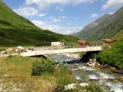 Naturlandschaft in der Nähe der Ferienwohnung