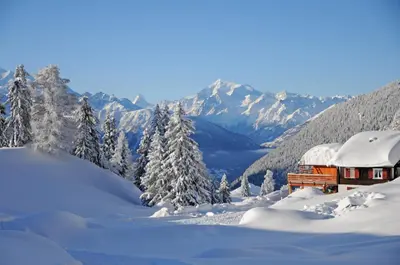 Favorite Parterre im Winter