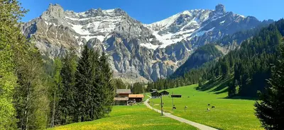 Naturlandschaft in der Nähe des Chalets