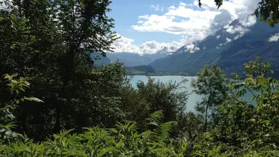 Naturlandschaft in der Nähe des Chalets