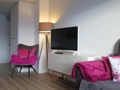 TV/Unterhaltungsangebot in der Unterkunft Swiss Seeblick Apartment mit Hotelanbindung