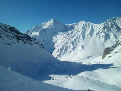 Marmottes F43 im Winter