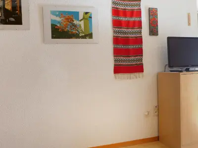 TV/Unterhaltungsangebot in der Unterkunft Apartment Castor und Pollux-1 by Interhome