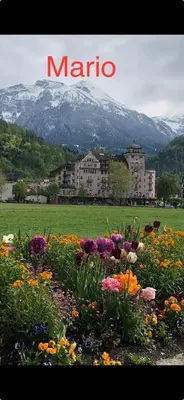 Ein allgemeiner Bergblick oder ein Berglick von der Ferienwohnung aus