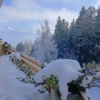 Apartment Terrasse Des Alpes 917 by Interhome