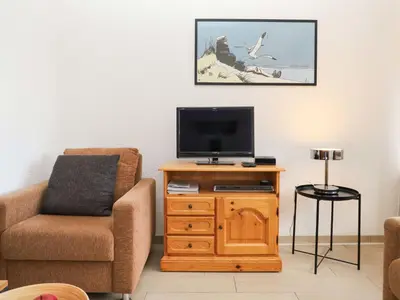 TV/Unterhaltungsangebot in der Unterkunft Apartment Terrasse Des Alpes 815 by Interhome