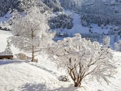 Apartment Chalet Bärgsunna-4 by Interhome im Winter
