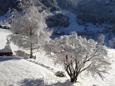 Apartment Chalet Bärgsunna-4 by Interhome im Winter