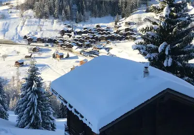 Haus Bortis im Winter