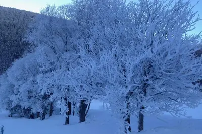Haus Bortis im Winter