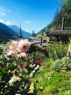 Naturlandschaft in der Nähe der Ferienwohnung
