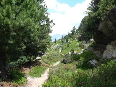 Naturlandschaft in der Nähe der Ferienwohnung