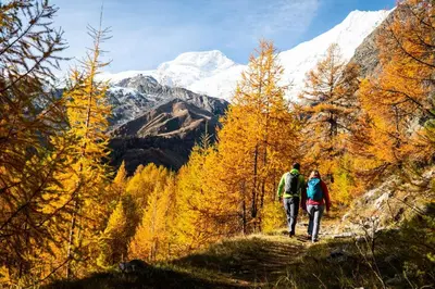 Grundriss der Unterkunft 3-Schlafzimmer Chalet Eichhorn****, Saas Fee 1800m