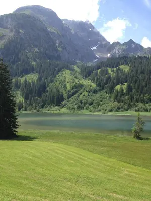 Naturlandschaft in der Nähe des Bed & Breakfasts