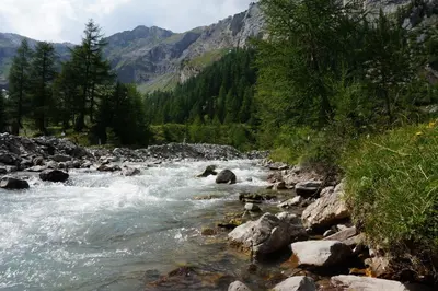 Naturlandschaft in der Nähe des Bed & Breakfasts