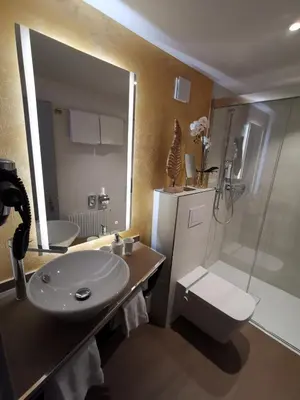 Ein Badezimmer in der Unterkunft Hotel Brienzersee