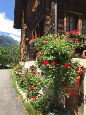 Ein allgemeiner Bergblick oder ein Berglick von der Ferienwohnung aus