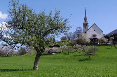 Naturlandschaft in der Nähe der Ferienwohnung