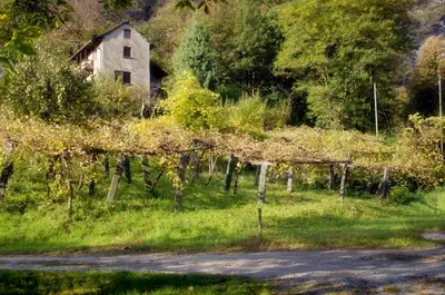 Naturlandschaft in der Nähe der Pension