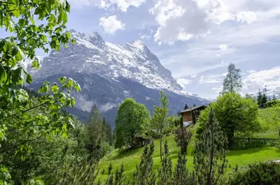 Naturlandschaft in der Nähe der Ferienwohnung
