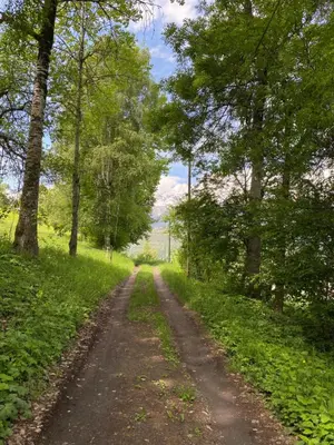 Naturlandschaft in der Nähe des Chalets