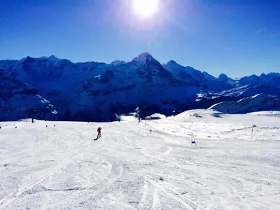 Skifahren in der Ferienwohnung oder in der Nähe