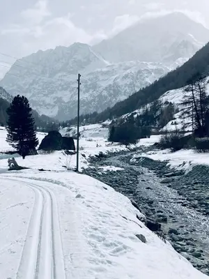 Naturlandschaft in der Nähe des Chalets