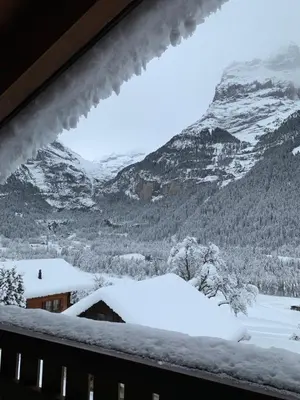 Silberhorn im Winter