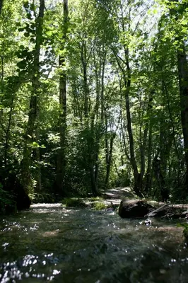 Naturlandschaft in der Nähe des Bed & Breakfasts