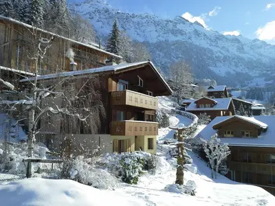 Chalet Gerbera im Winter