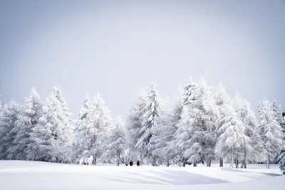 Crans Ambassador im Winter
