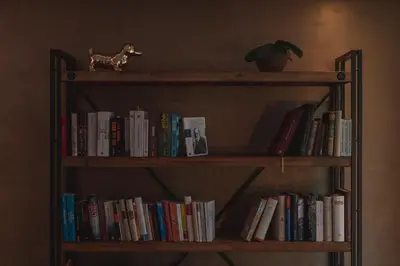 Die Bibliothek in der Ferienwohnung