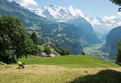 Naturlandschaft in der Nähe der Ferienwohnung