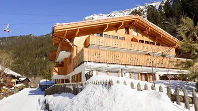 Ein allgemeiner Bergblick oder ein Berglick von der Ferienwohnung aus