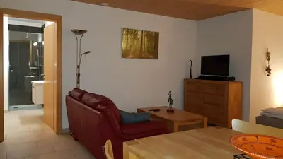 TV/Unterhaltungsangebot in der Unterkunft Studio dans une villa à Veyras